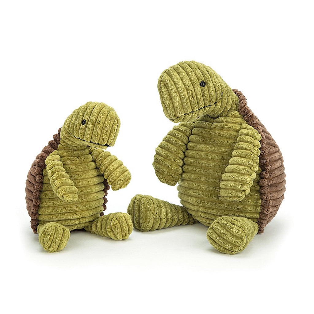 Cordy Roy Tortoise (Large)