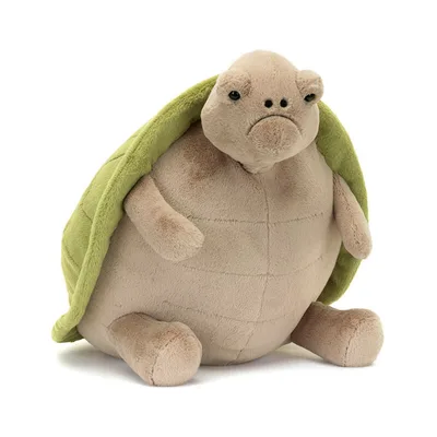 Timmy Turtle - Big