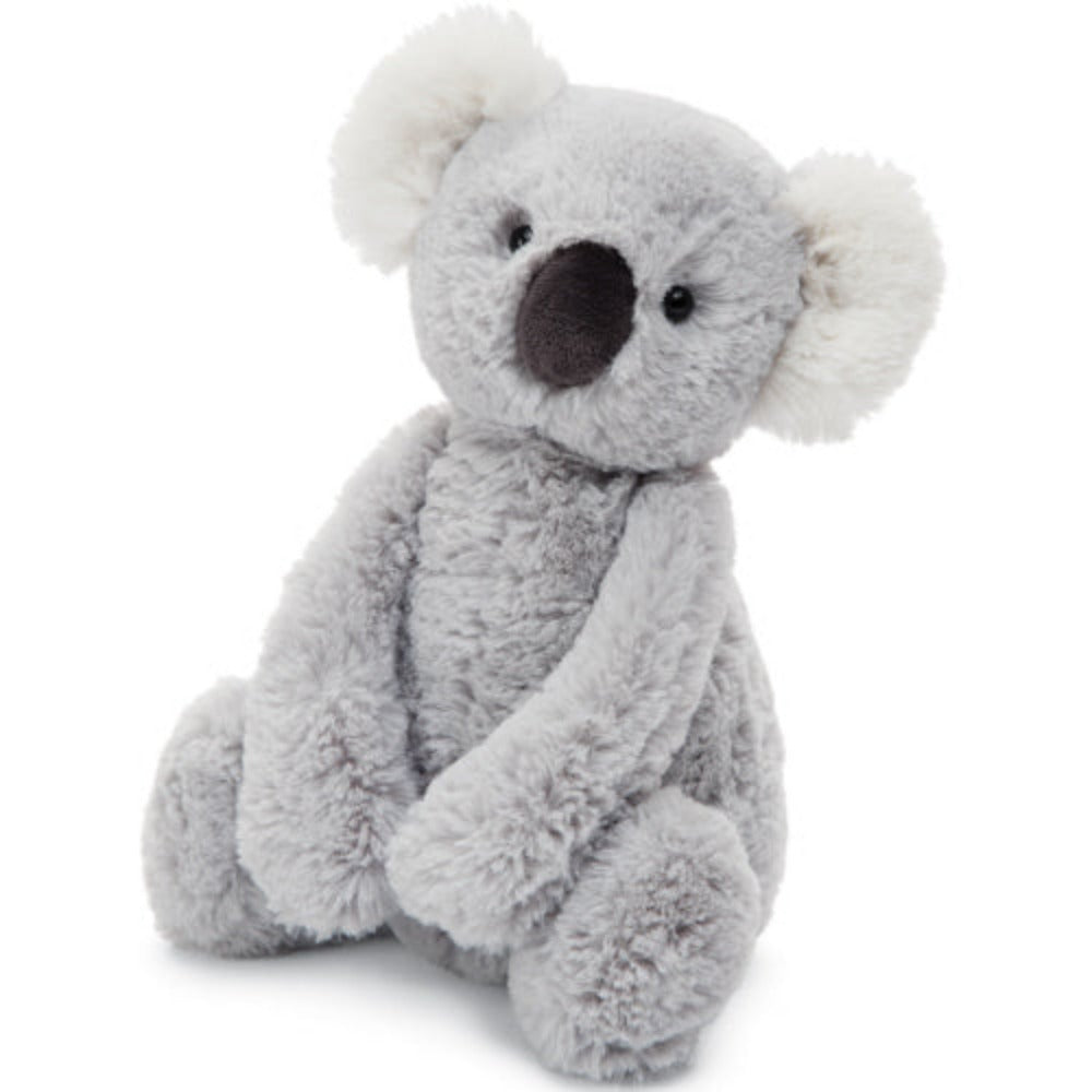 Bashful Koala (Medium)
