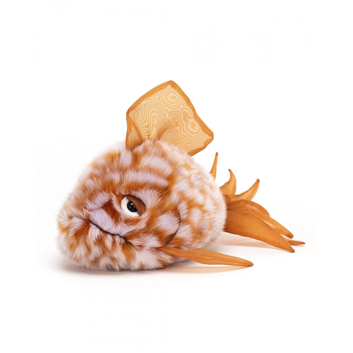 Grumpy Orange Fish
