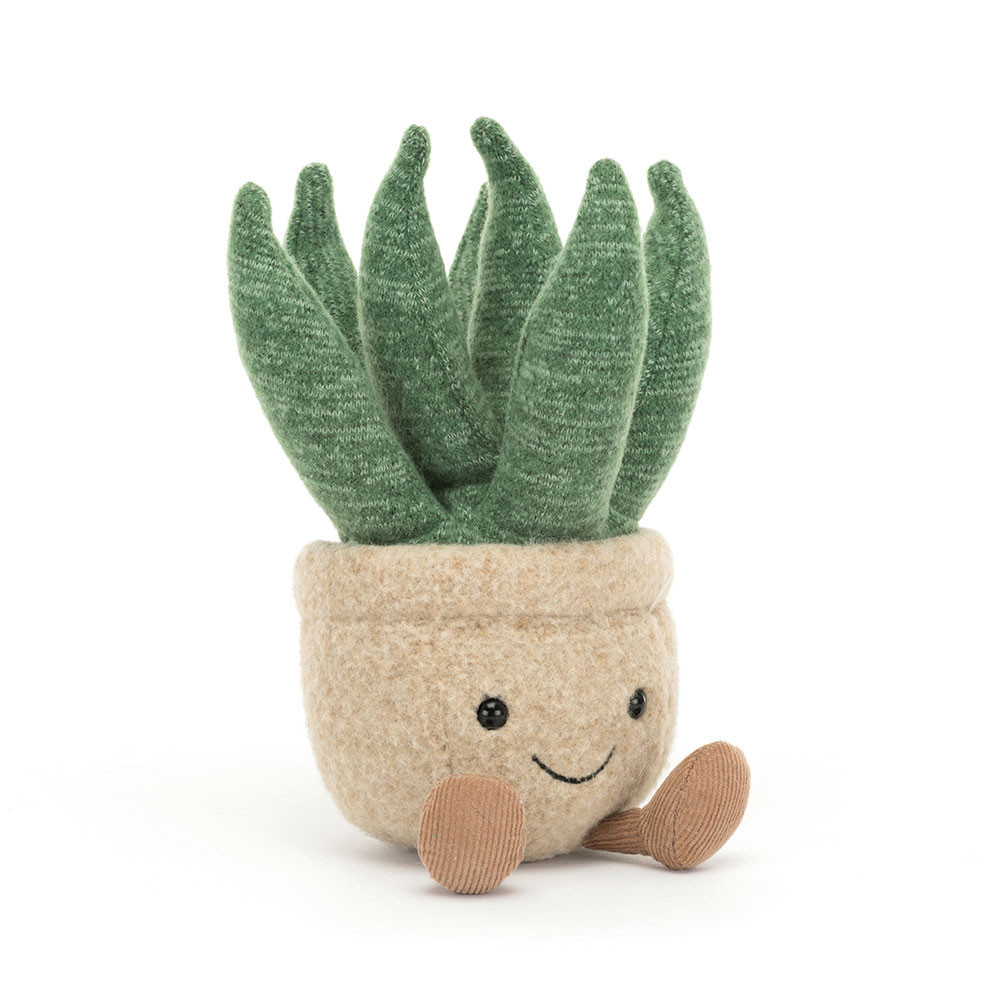 Amuseable Aloe Vera (Small)