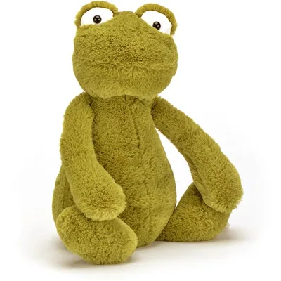Bashful Frog (Medium)