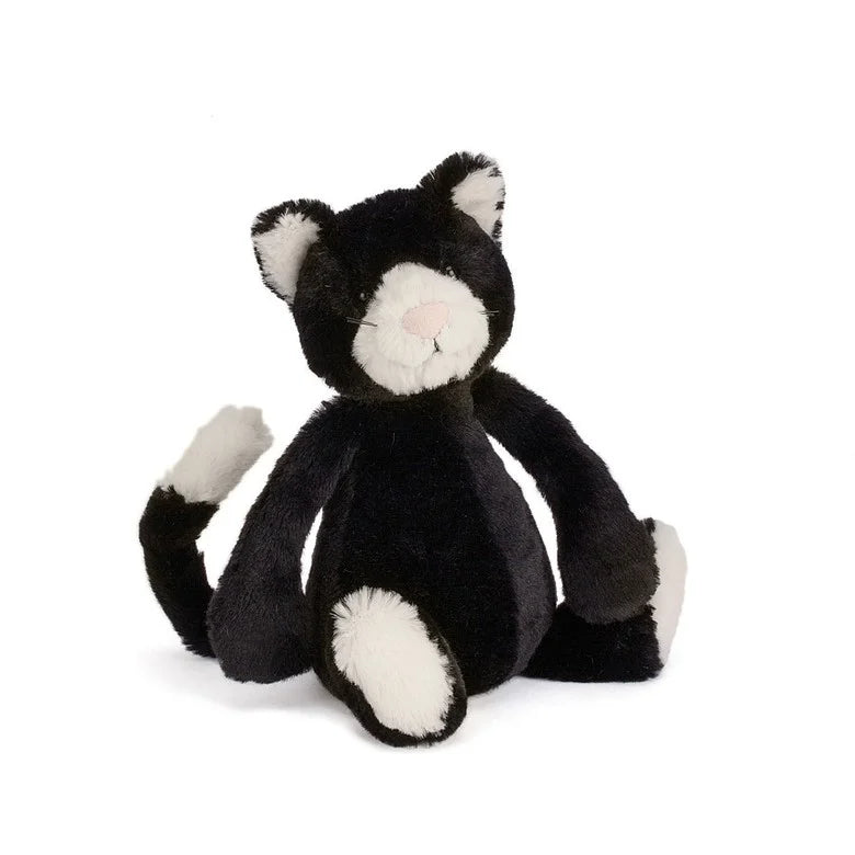 Bashful Black and White Kitten