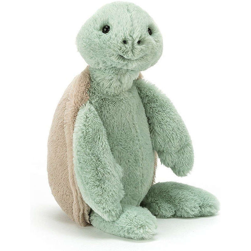 Bashful Turtle (Small)