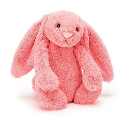 Bashful Coral Bunny (Medium)