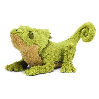 Logan Lizard