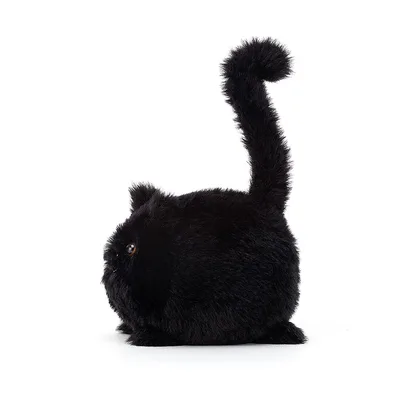 Kitten Caboodle (Black - Small)
