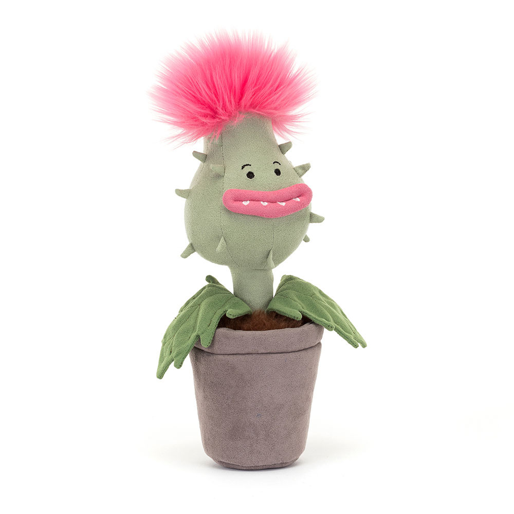 Carniflore Priscilla (Medium)