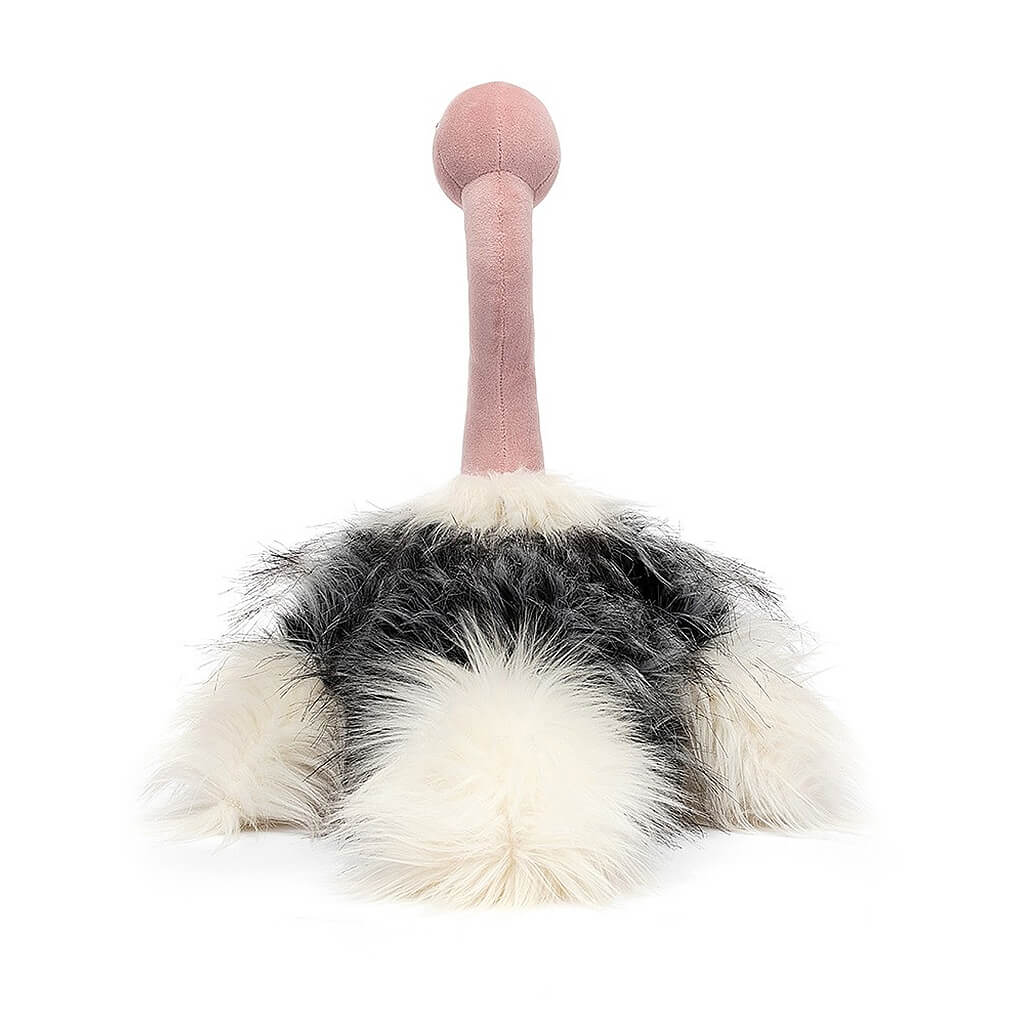 Ramonda Ostrich