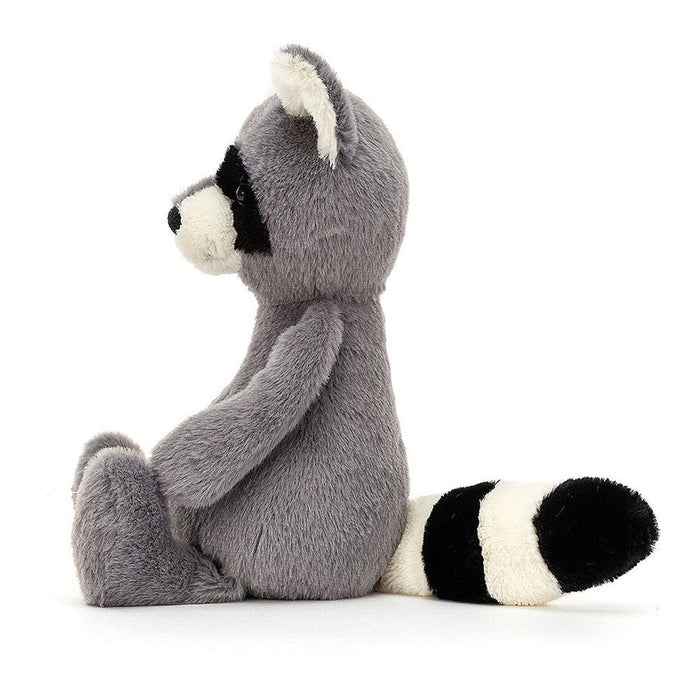 Bashful Raccoon