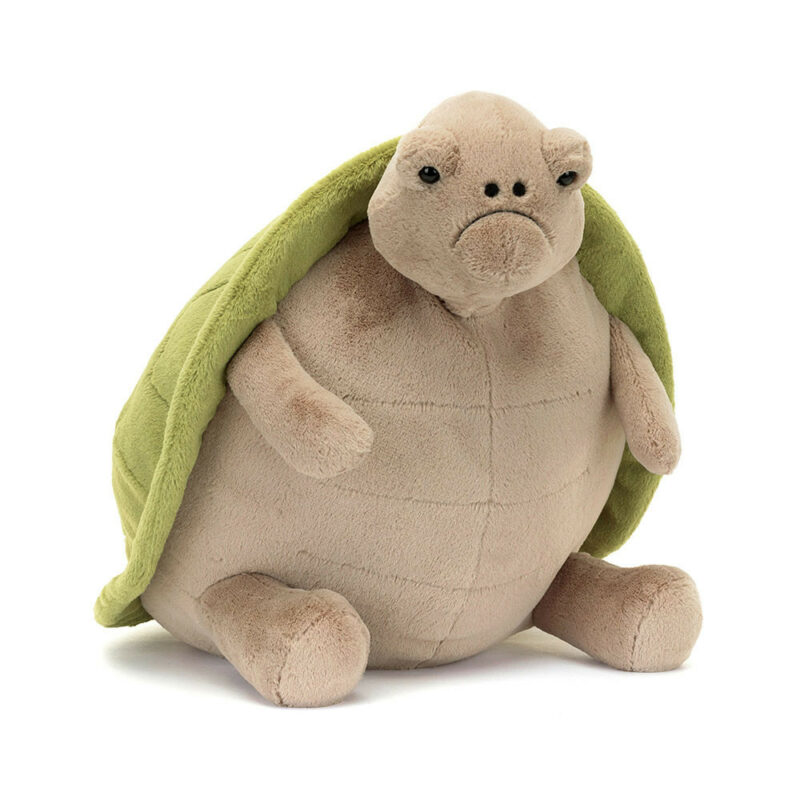 Timmy Turtle - Big