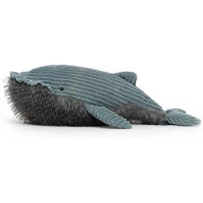 Wiley Whale