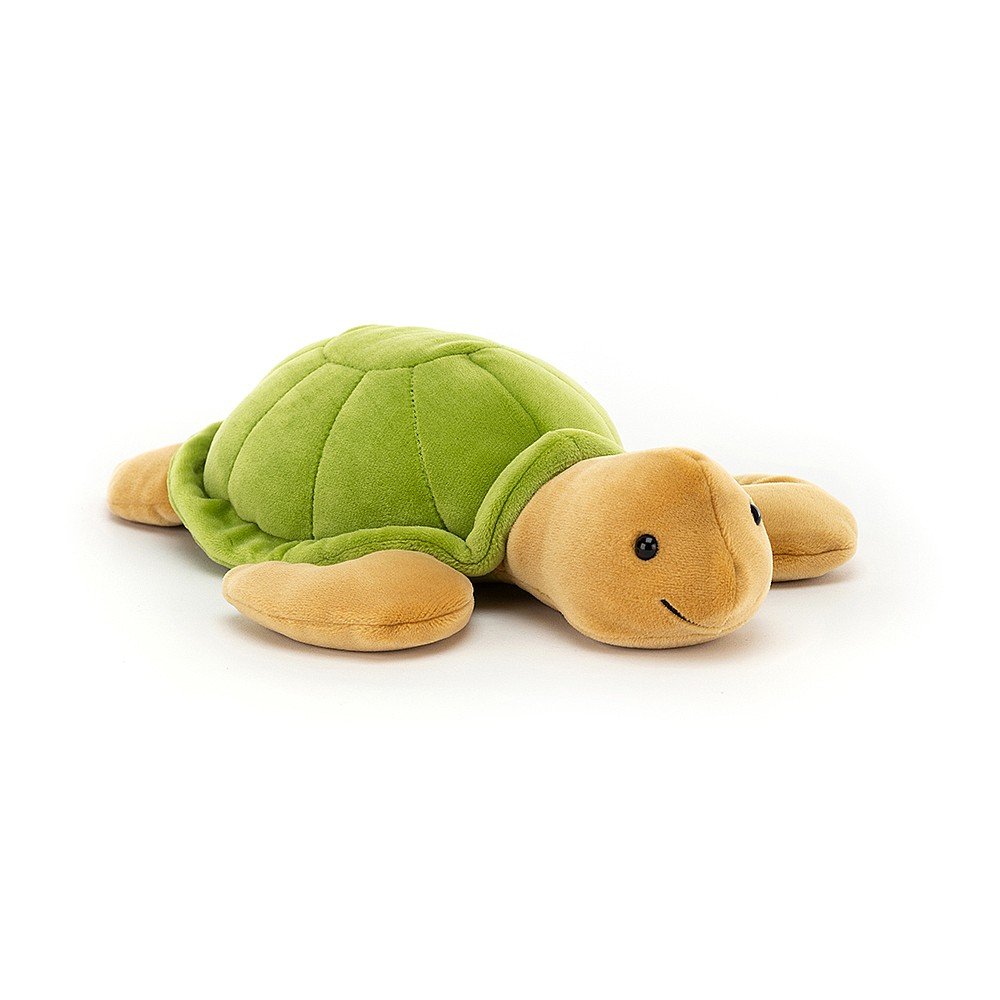 Ceecee Turtle (Medium)