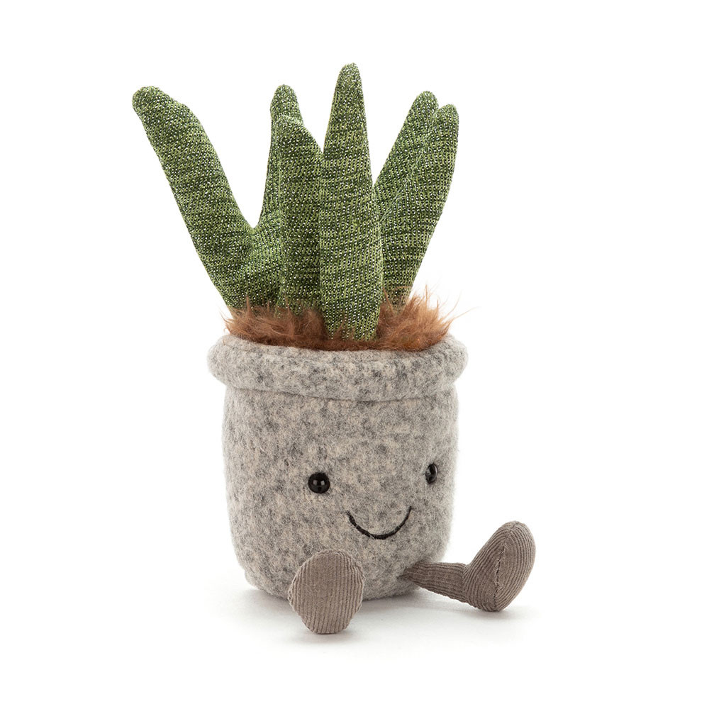 Silly Succulent Aloe