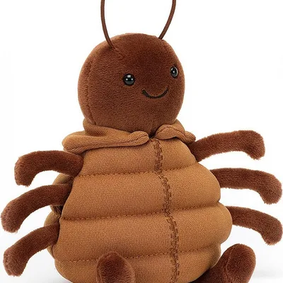 Anoraknid Brown Spider