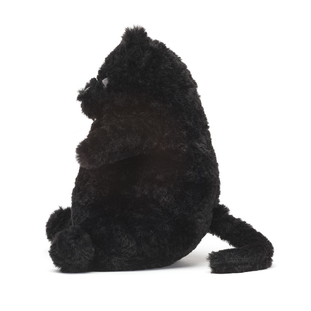 Amore Cat Black