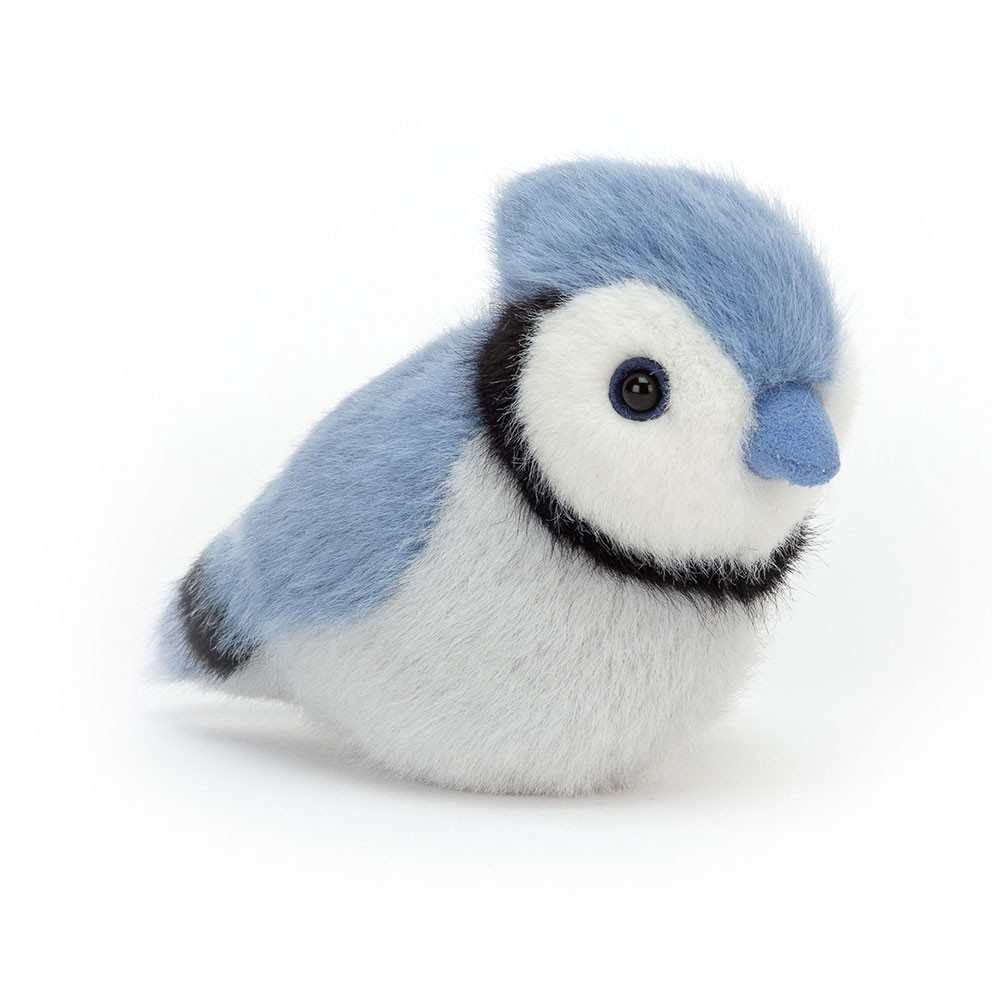 Birdling Blue Jay (Small)