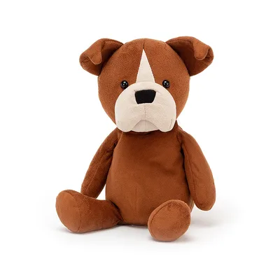 Bruno Boxer Dog