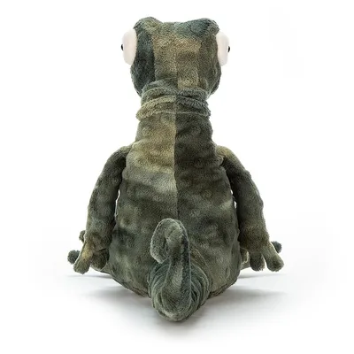 Gary Gecko