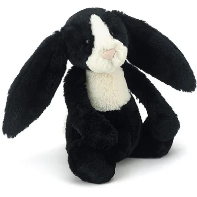 Bashful Dutch Bunny (Medium)