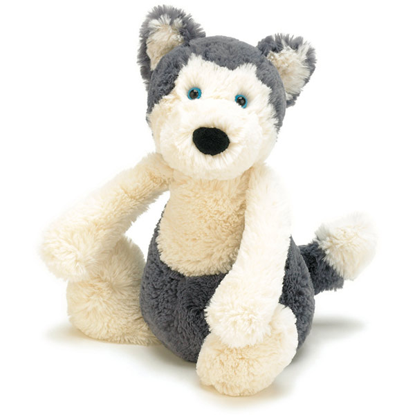 Bashful Huskie