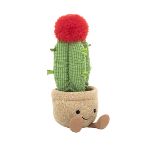 Amuseables Moon Cactus (Medium)