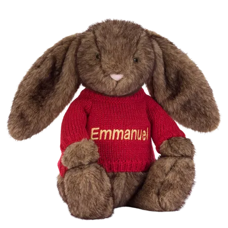 Hoppleston Luxe Bunny with Personalised Red Jumper