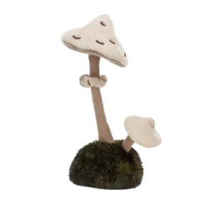 Wild Nature Parasol Mushroom (Medium)