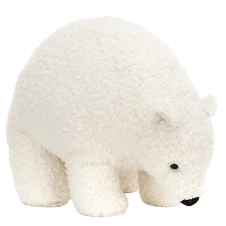 Wistful Polar Bear