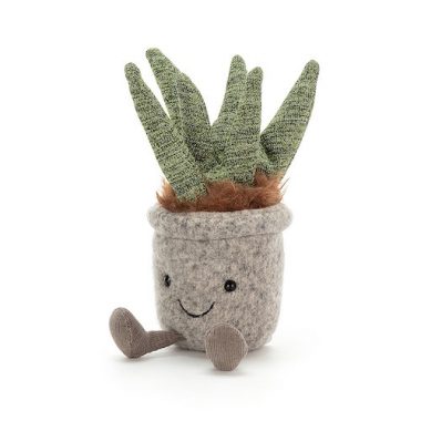 Silly Succulent Aloe