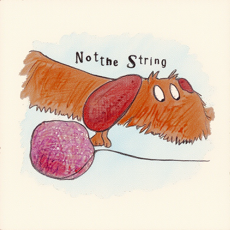 Silly Sausage Board Book