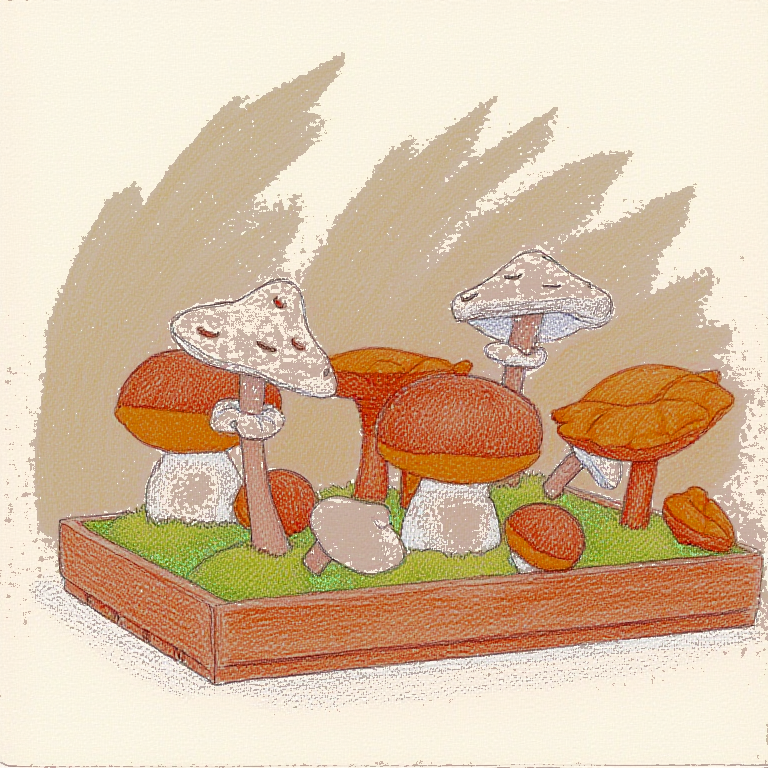 Wild Nature Display Box
