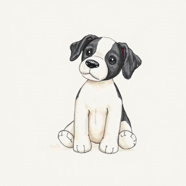 The White Company Black and White Dog